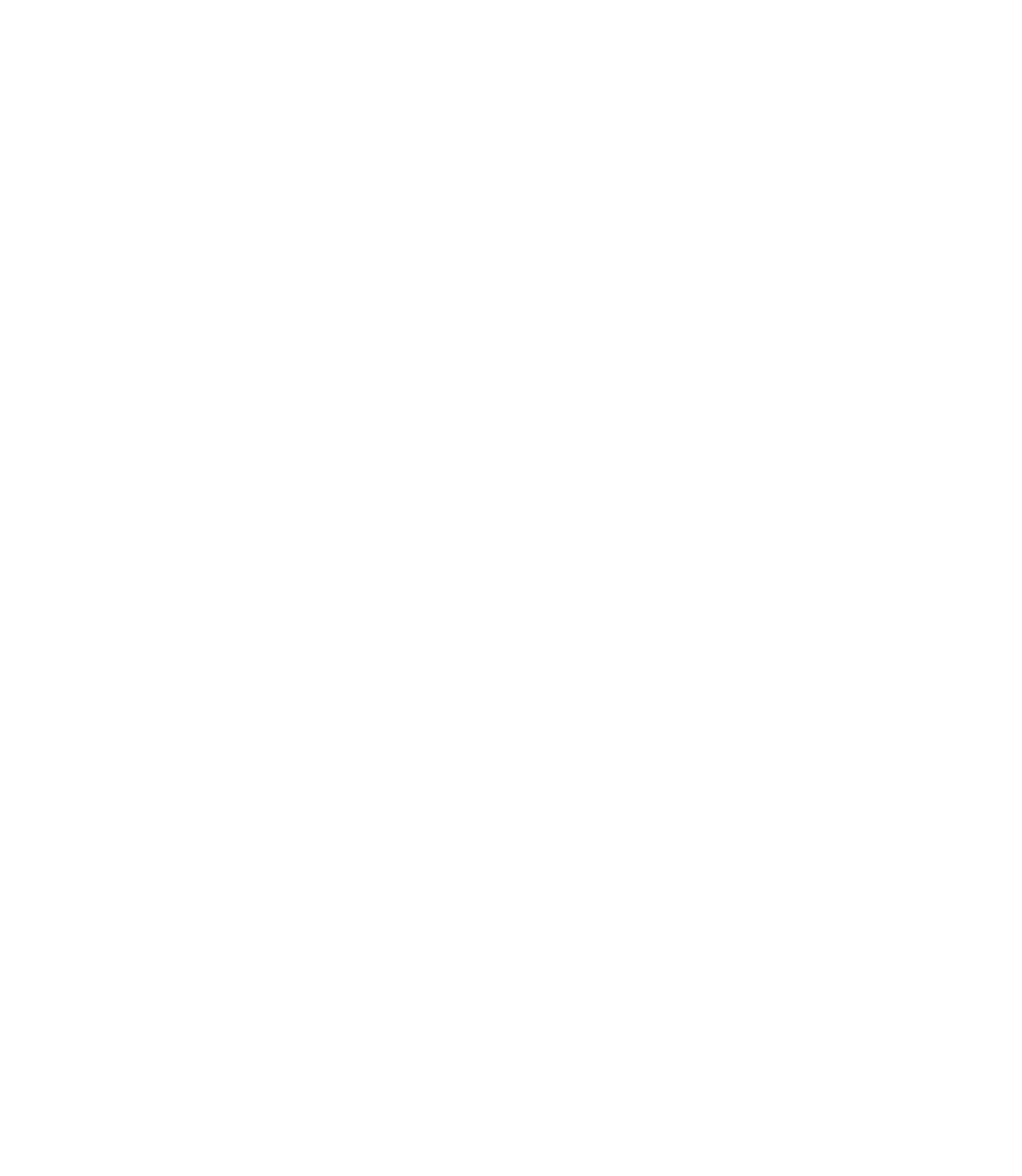logo-icon-white